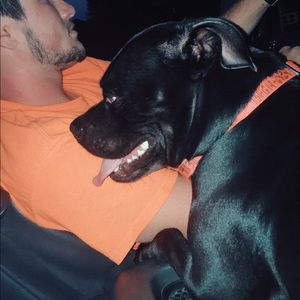 Meet your Posher, Logan